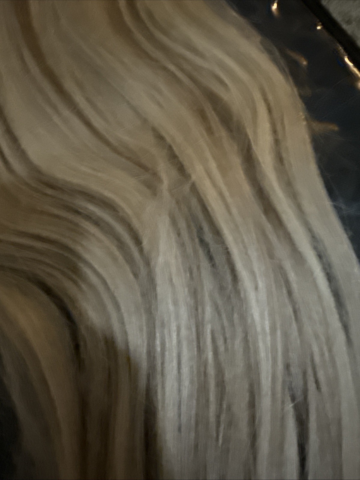 Blonde W Highlights Clip Hair Extensions daydream hidden crown 20” Color 882
