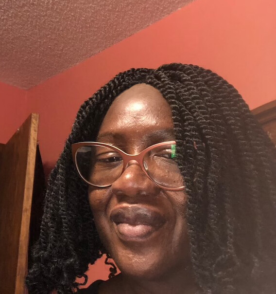 Black Senegal Twist Braided Wigs with Curly End Twist Braid Hair Wigs Afro Wigs