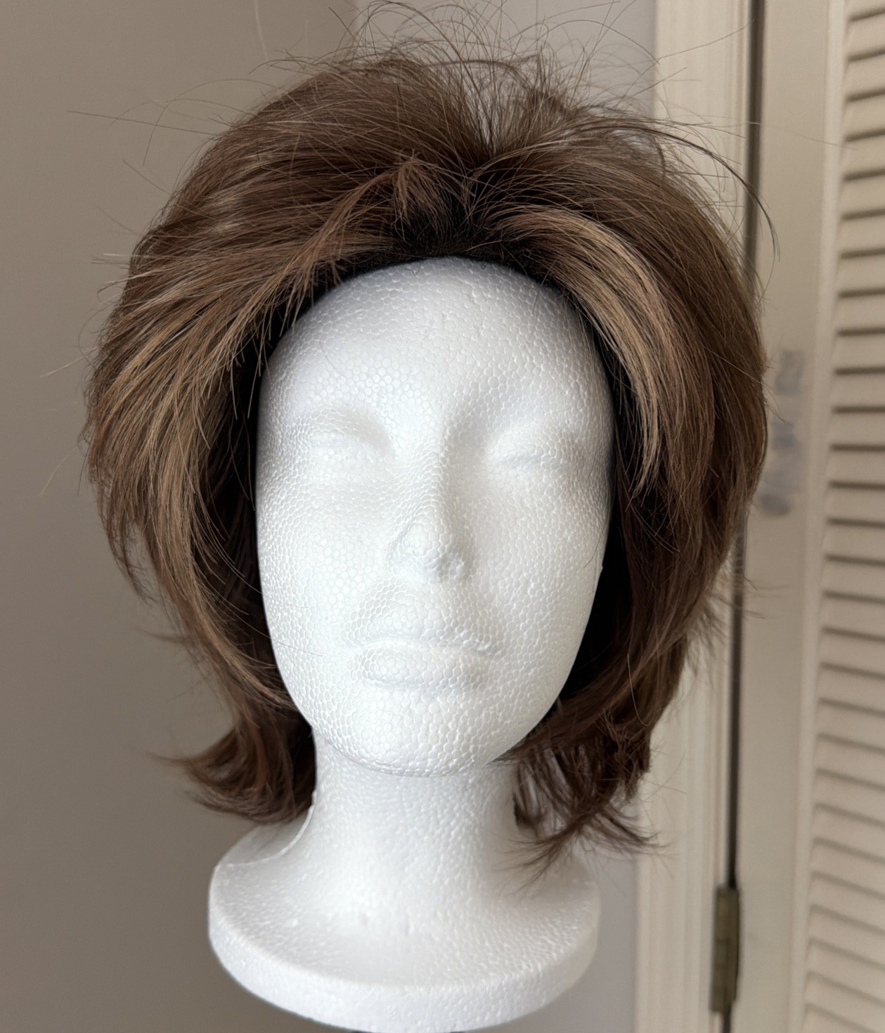 Noriko Sky Wig Large Cap Raisin Glaze W Highlights Lace Front Layered Straight