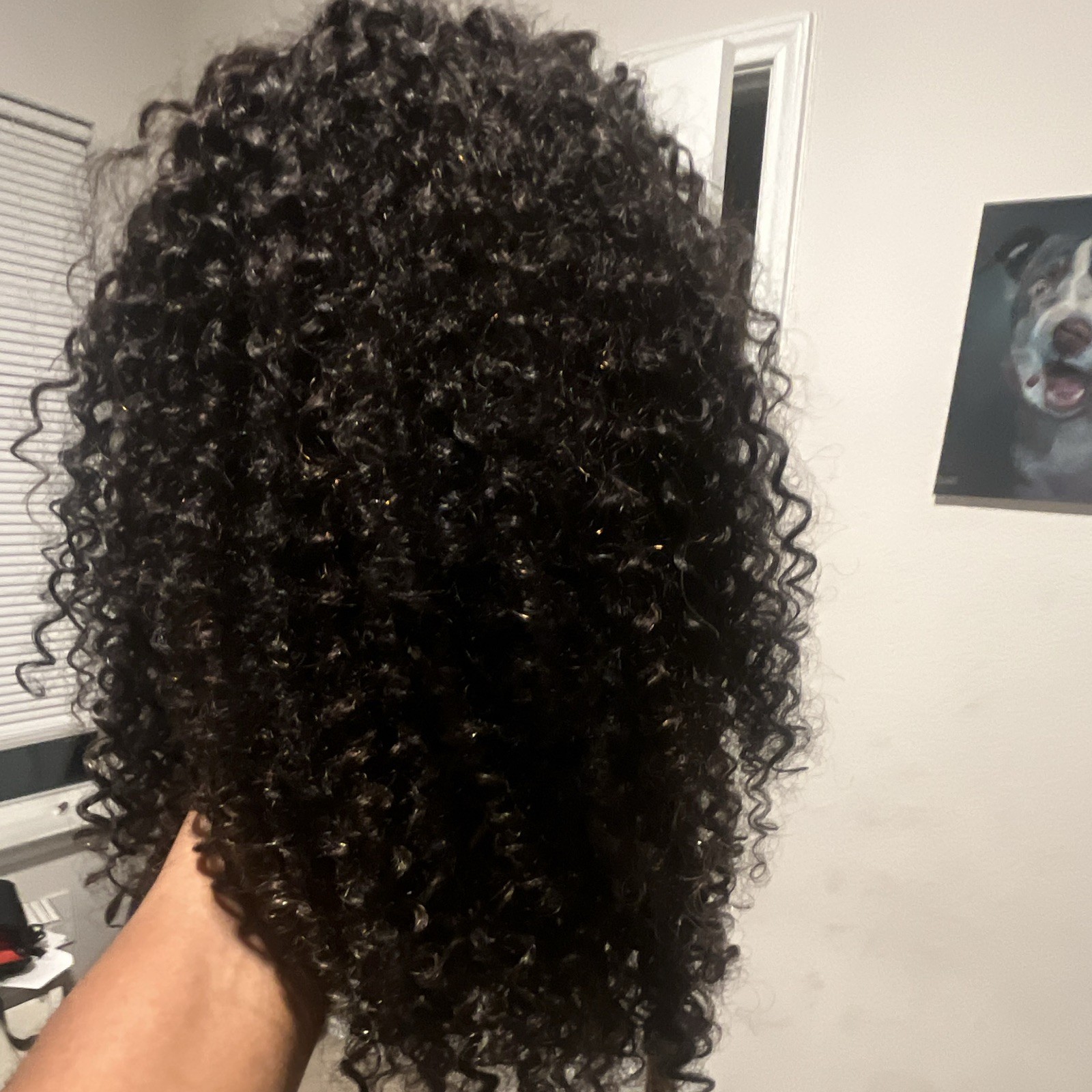 Lace Front Curly Human Hair Wig for Women Black Shade 21-30 in One Size