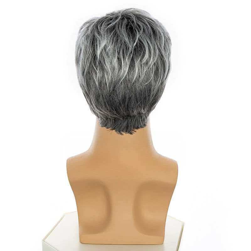 Men’s 6in Short Silver Gray Wig for Men Full Synthetic Heat Resistant Daily Wear