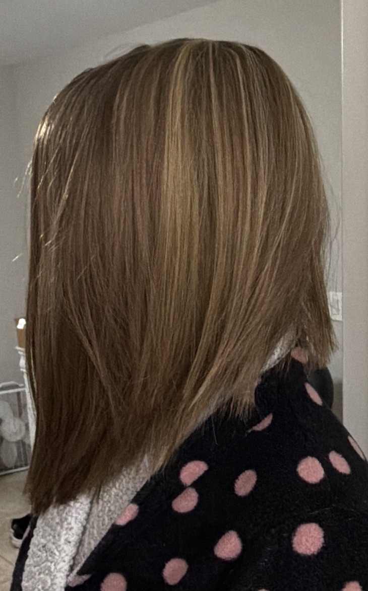 Fashion Trends Short Straight Bob Wig Light Brown/Blond Classic Cap Free-Part