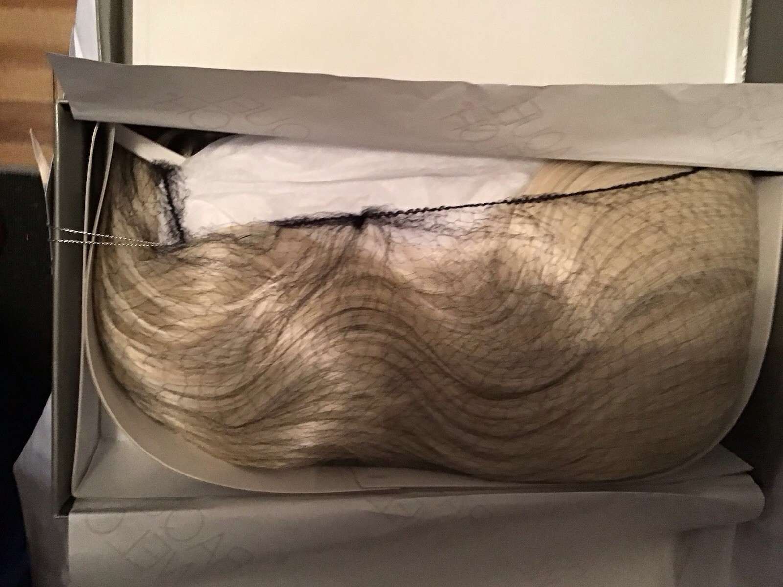 Raquel Welch Wig New In Box Day To Date Biscuit 1923 Front Lace Gorgeous