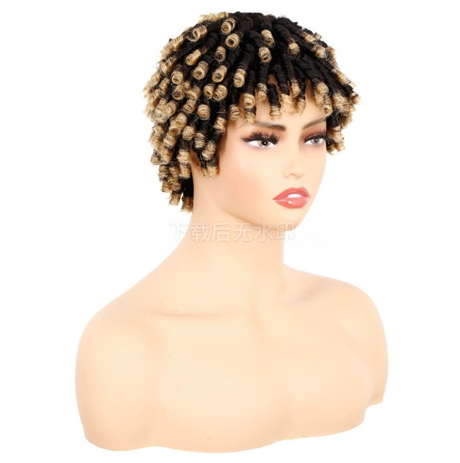 Short Braided Wigs Human Hair Dreadlock Wig Ombre Twist Braids Wig for Women