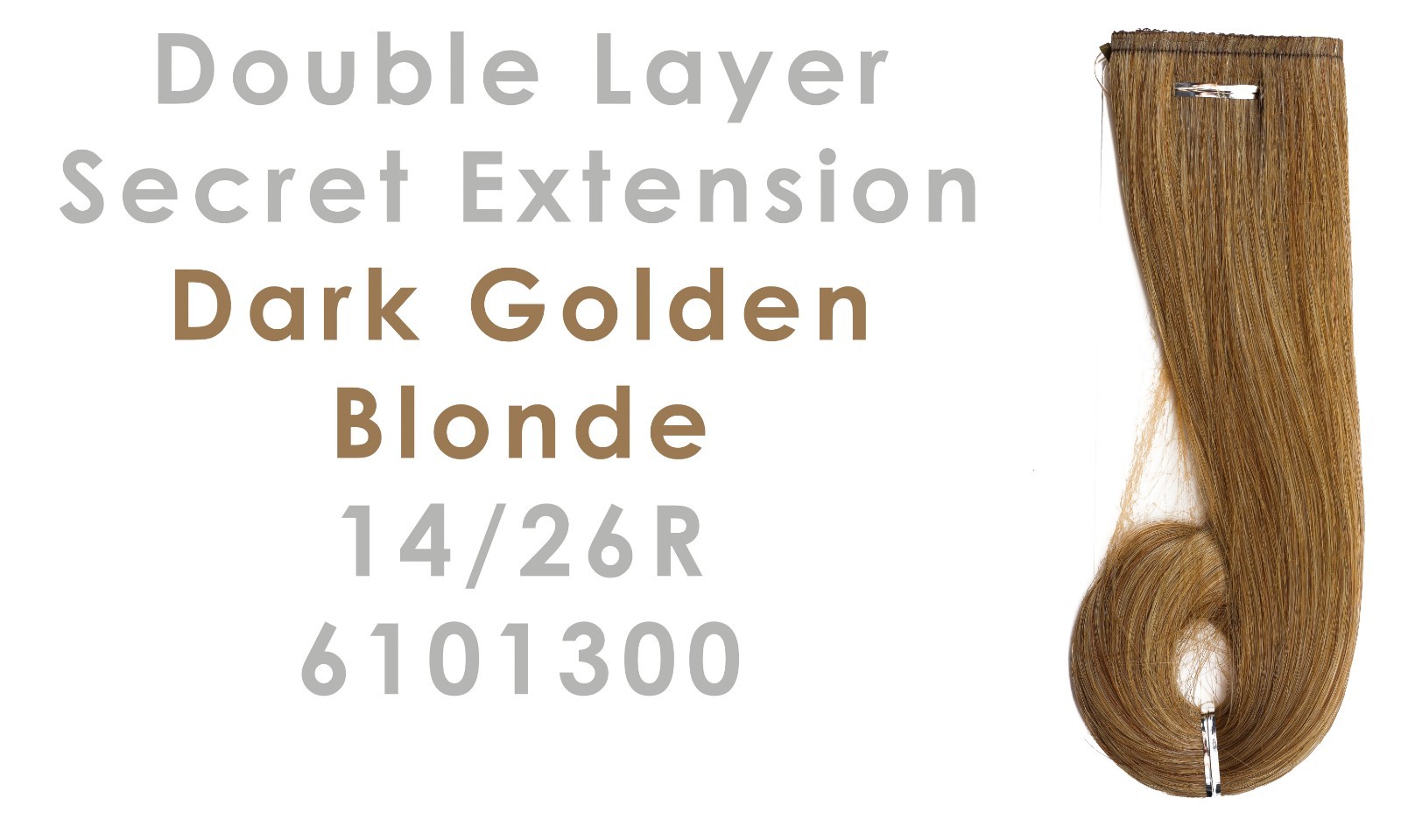 Dark Golden Blonde 14/26R 3101300 Daisy Fuentes Double Layer Secret Extension