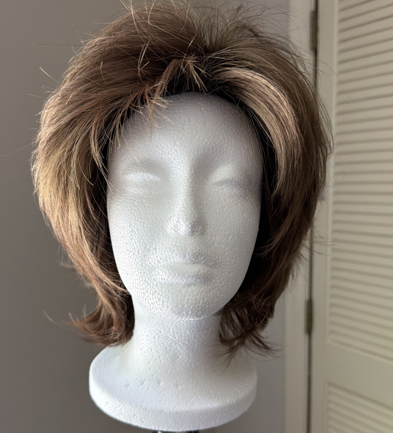 Noriko Sky Wig Large Cap Raisin Glaze W Highlights Lace Front Layered Straight