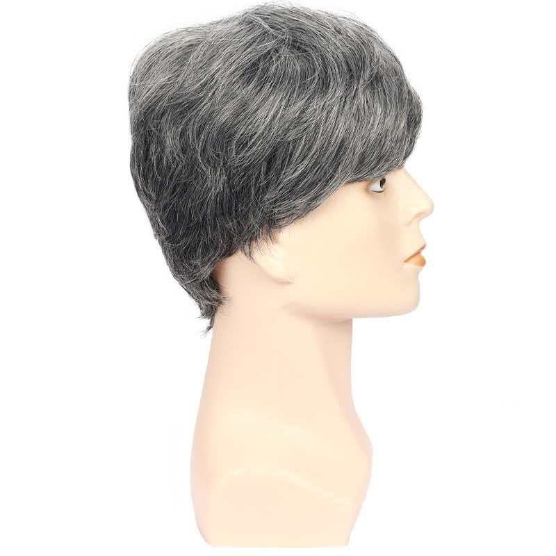 6in Men’s Short Silver Gray Wig Full Cosplay Synthetic Heat Resistant Party