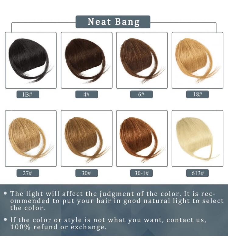 BARSDAR 100% Human Hair Bangs Extensions French Bangs Clip On with Temples