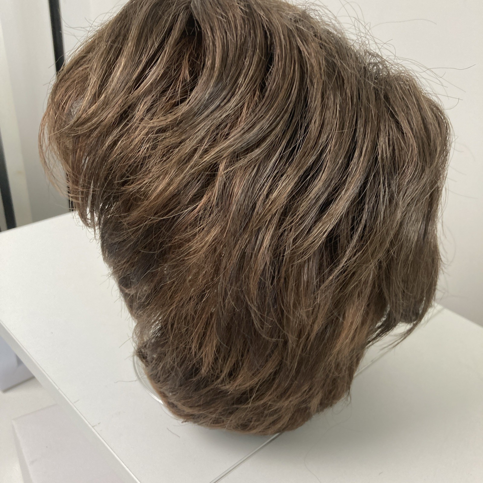 Envy Layered Wig Synthetic Short Classic Cap Womens Brown + Topper Lot 2 Pc