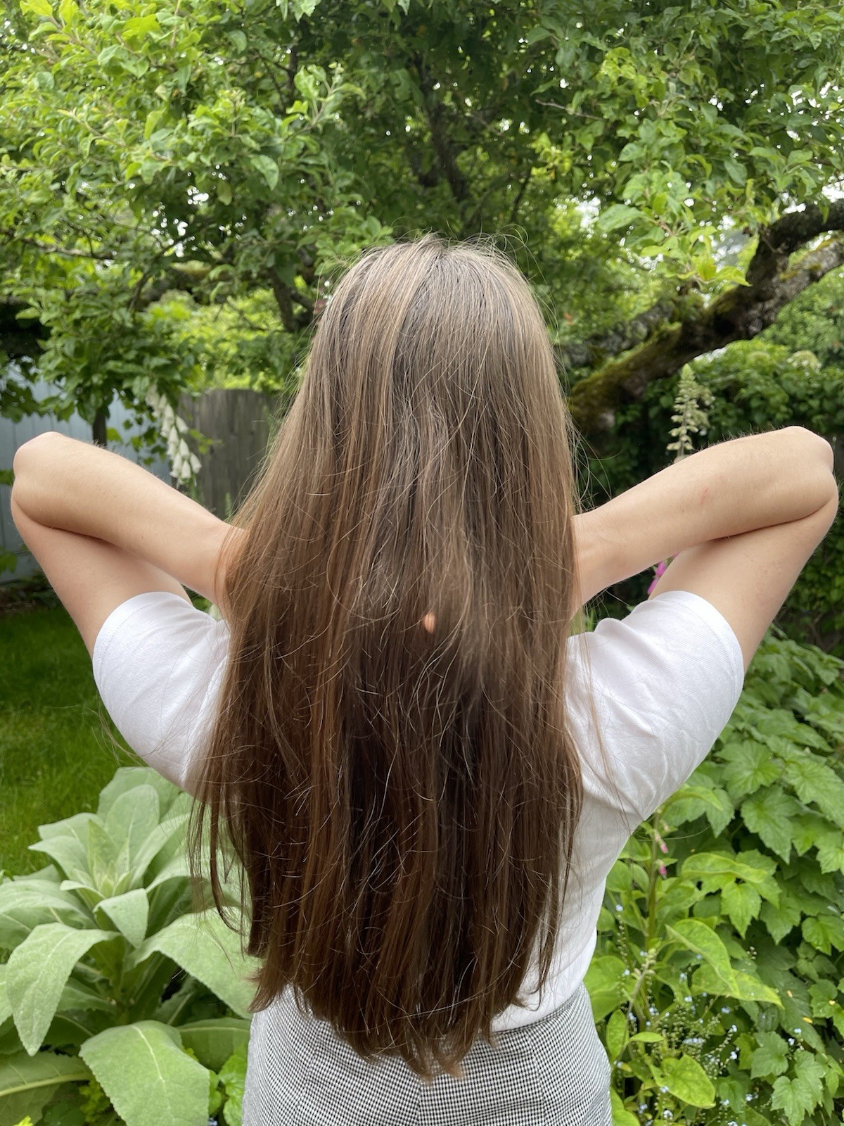 Human Hair Ponytail Haircut Virgin Brunette Hair 11-12 In Soft Silky Light Brown