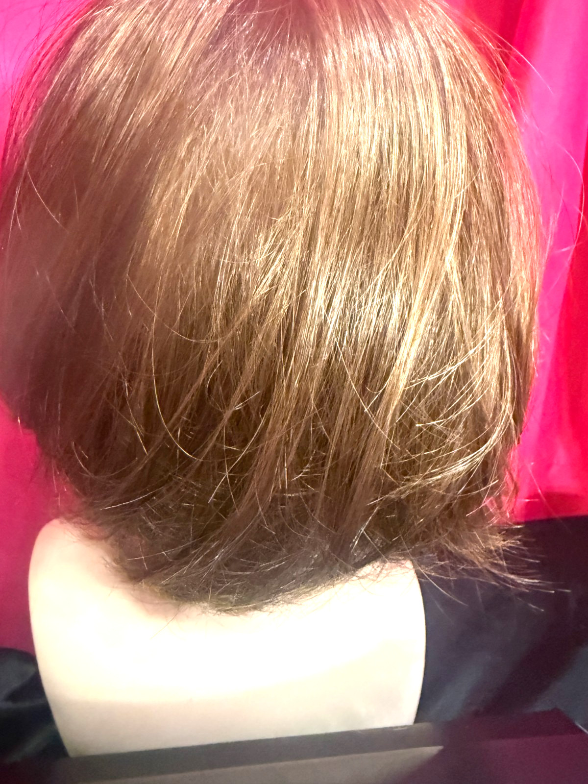 Jaclyn Smith Wig “Spotlight” Caremlized Brown NEW WITHOUT TAGS