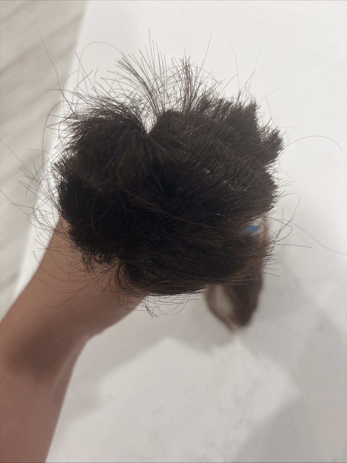 Natural Hair That Had Been Dyed Twice and Is 11.81 Inches Long for $280! US!