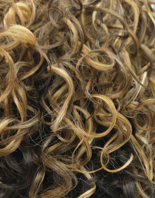 Lace Front Wig Sherbet . Boss Wig Tb/27. Color Shown In Picture.