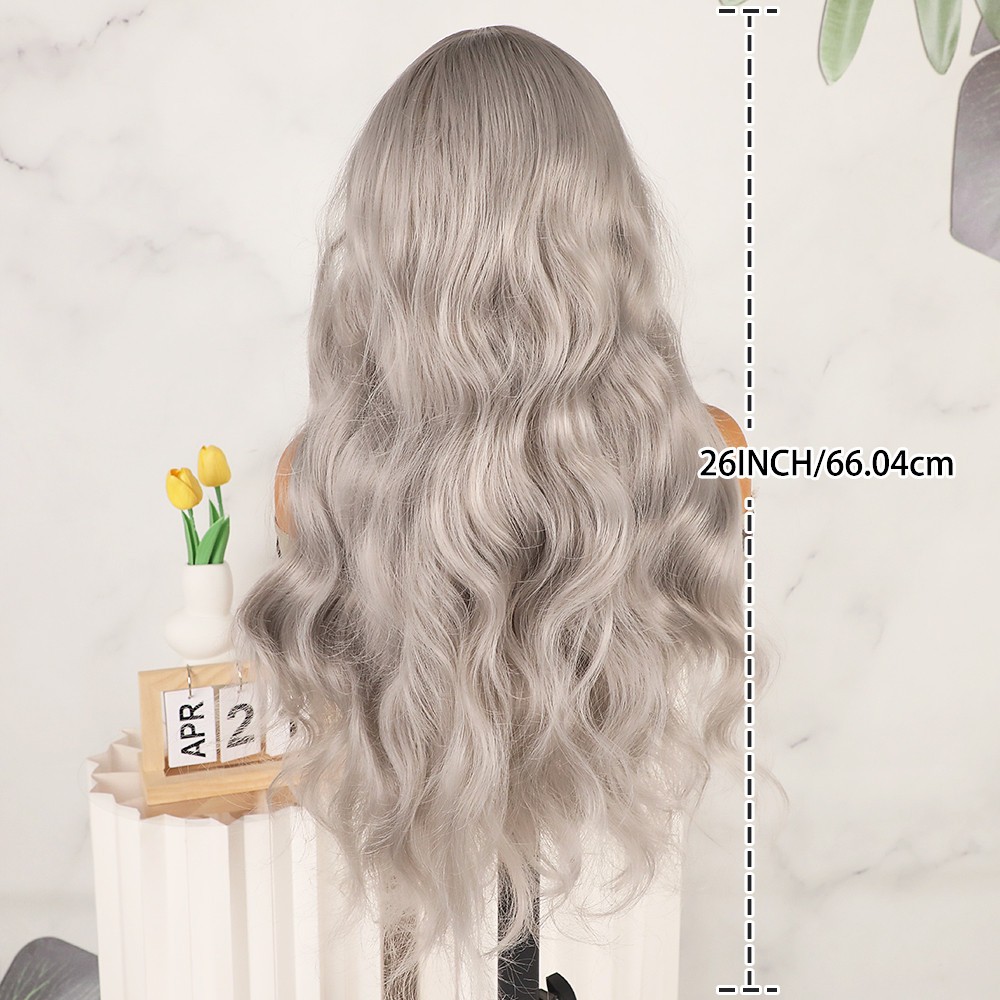 Long Wavy Gray Heat Resistant Lace Front Wig Glueless Body Wave Natural Hairline