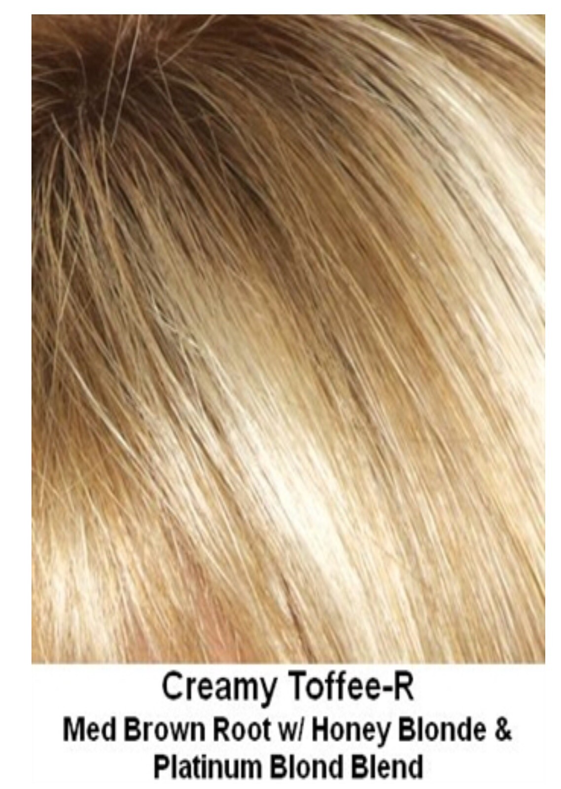 Rene Of Paris Hair Topper – #732 in color Creamy Toffee