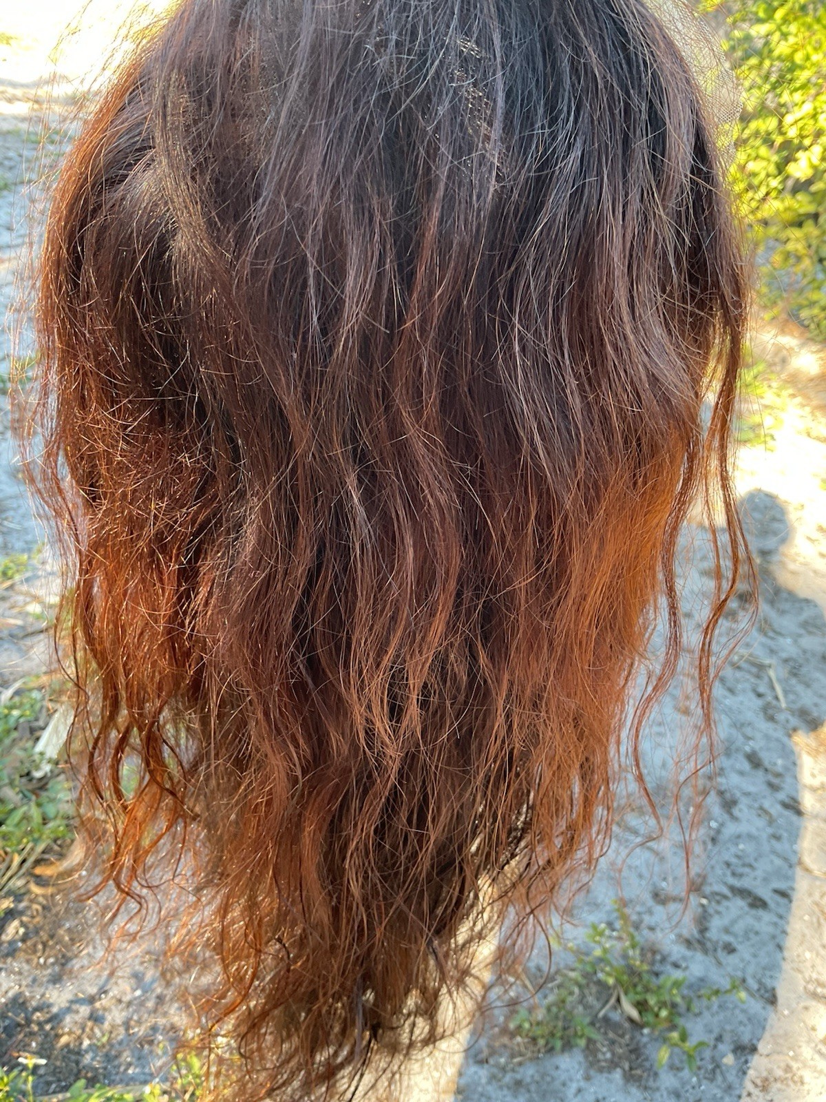 100% Human Hair Glueless Lacetop 26” Wavy Dark Brown/Auburn Highlights NWOT