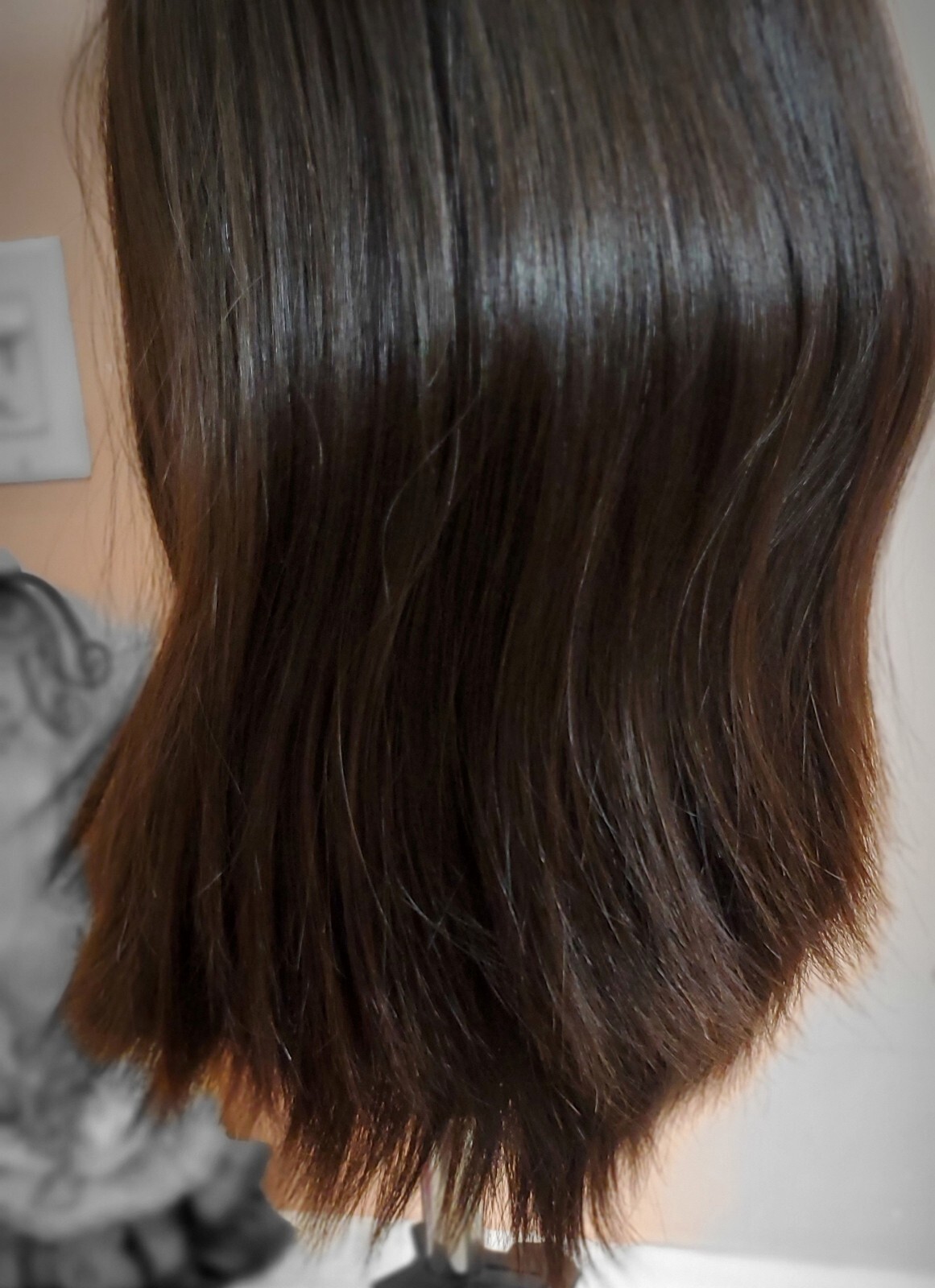 New 100% Virgin European Human Hair Wig | 18” Dark Brown | Skin Top