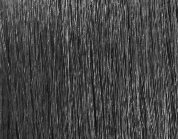 Foxy Silver GLENDA MONOFILAMENT Wig, Stylish and Natural-Looking Synthetic Wig
