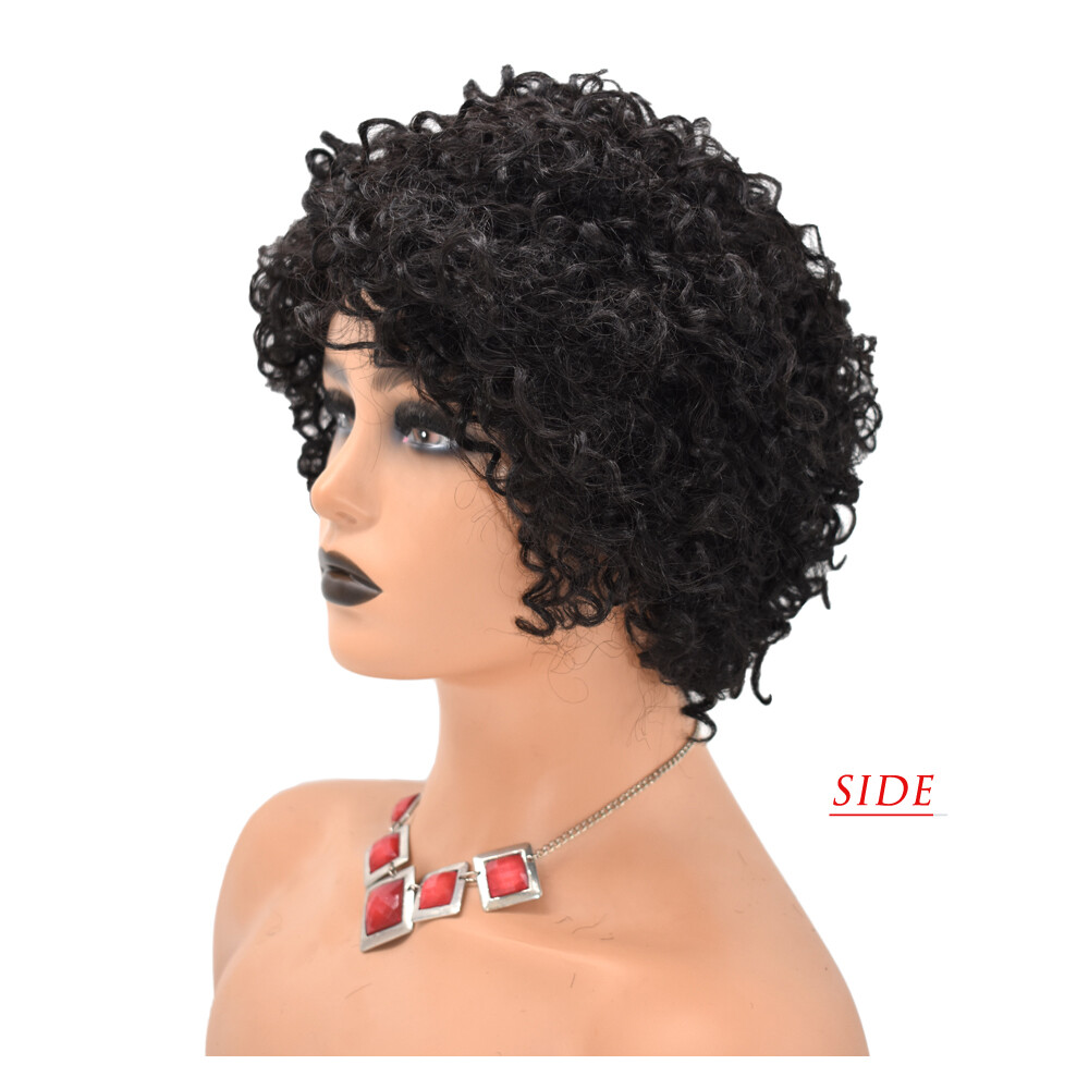 Kinky Curly Afro Wig Short Human Hair Wigs for Black Women Brazilian Natural US