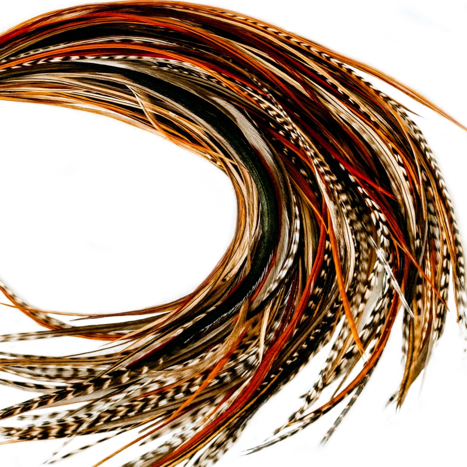 *WHOLESALE* 50 pcs Natural LONG 9-14″ Feather Extension, Whiting Farms + DIY Kit