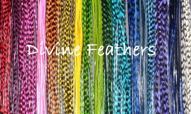 1 Grizzly Feather Extensions XL Hair extensions 8″-12″ YOU CHOOSE from 16 Colors