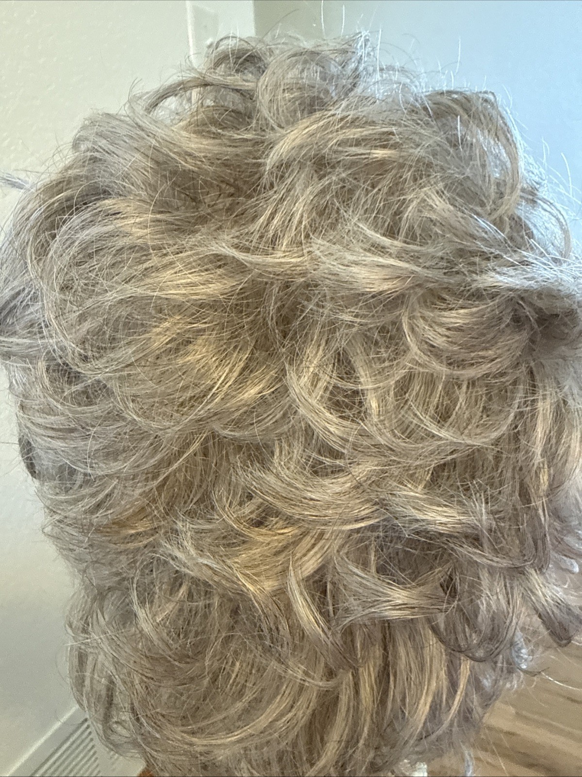 480Curly Long Net Cap Gray Tipped Big Hair. Very Nice Paula Young Jenna 14/18
