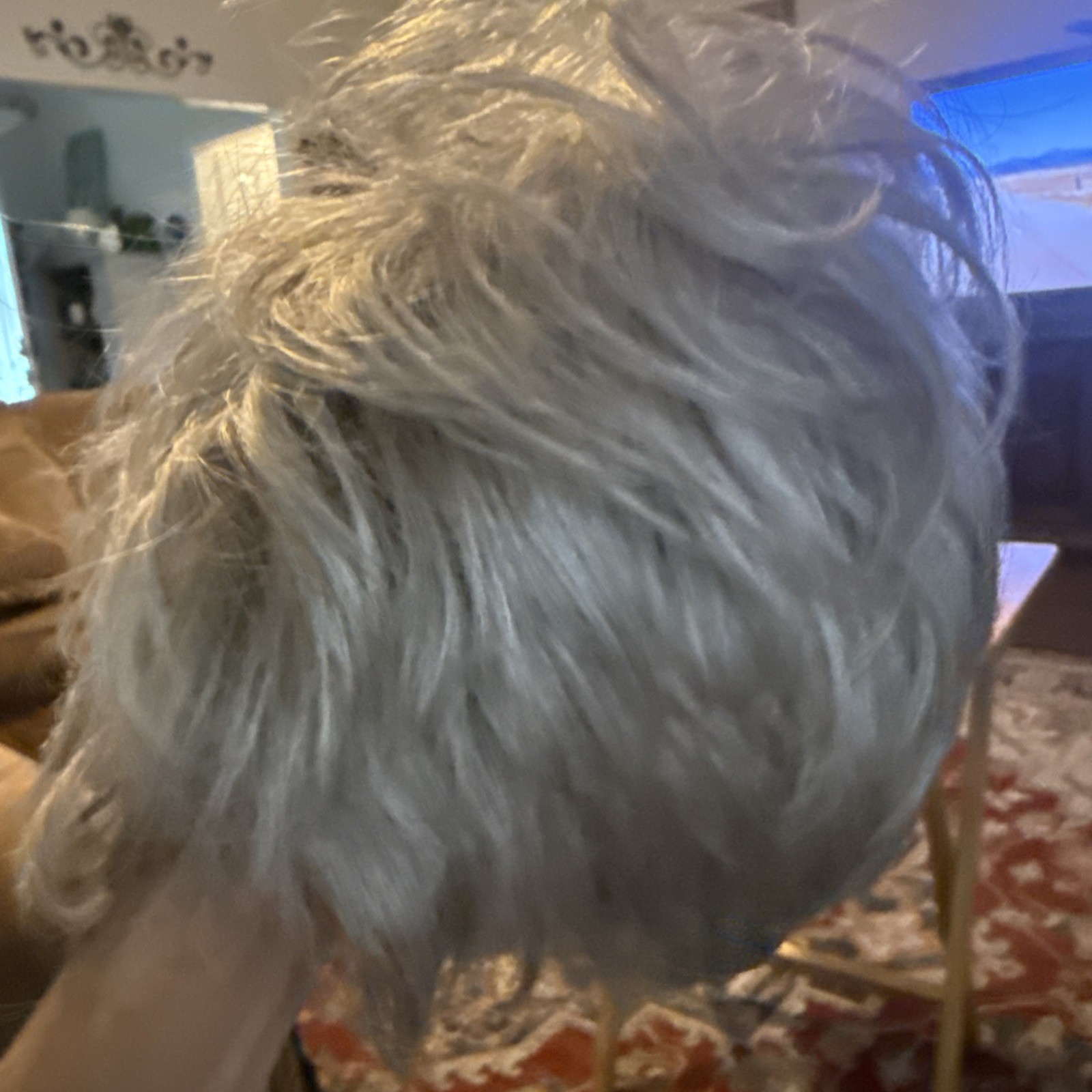 Wig Short Blonde Paula Young With Clip And Adjustable Straps Short Hair Bob