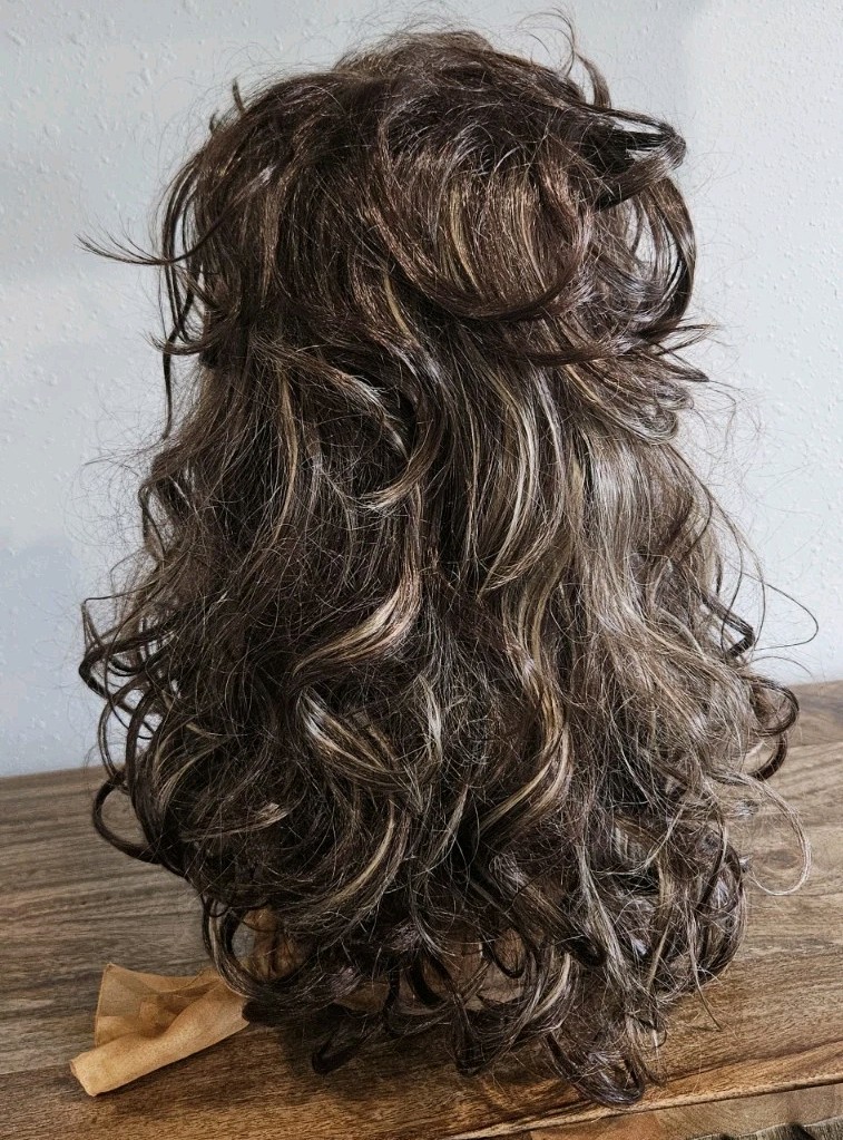 Long Layered Wig Synthetic Brown Bold Blonde Highlights Shag Siudus Heat Resist