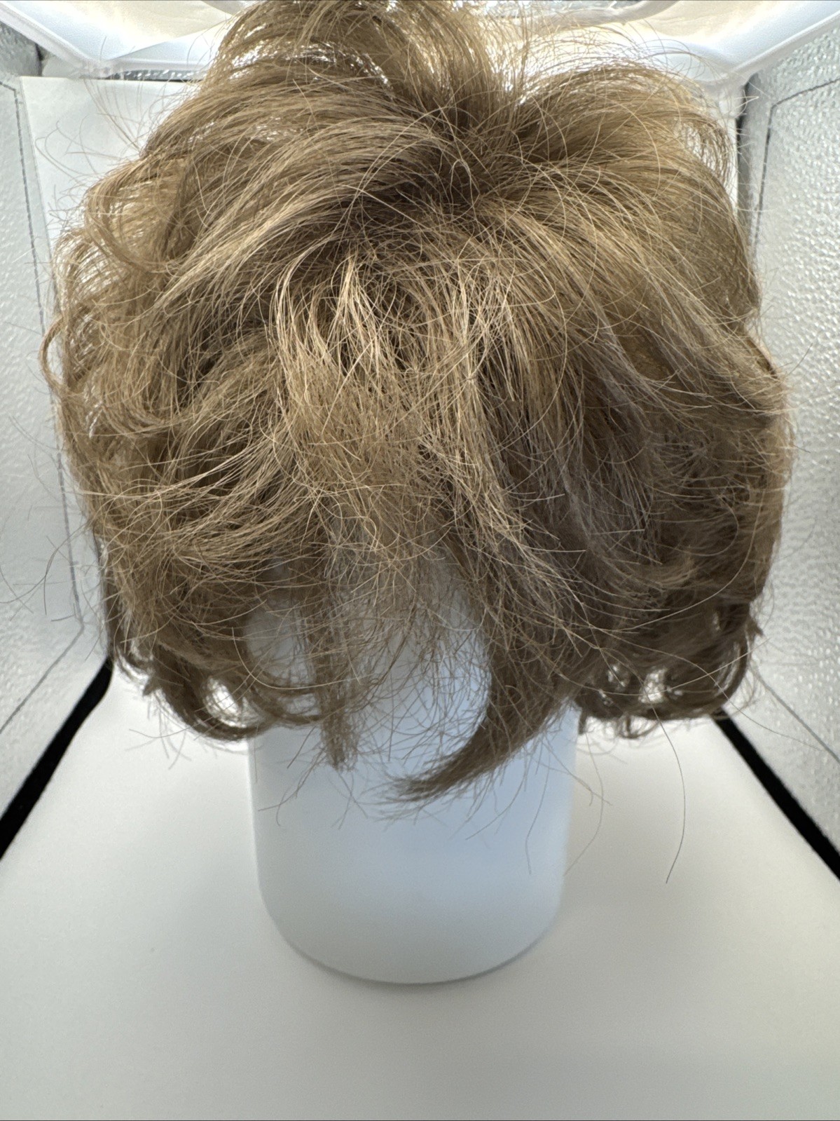 Paula Young Wig Average 18 A2094 Textured Layers Tapered Back