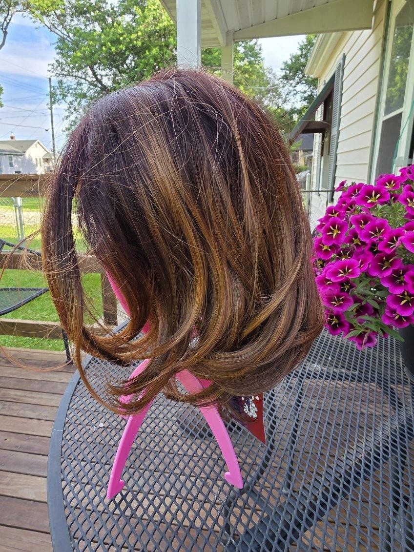 Rebel Gypsy New. Brown, Chin Length. Never Warn. Pink Stand Not Included.
