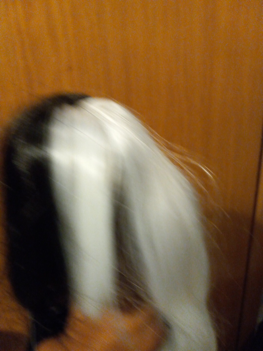 Womens Sallcks Black And White wig #L307 28 “Long Laid Flat Wavy Curly Bangs