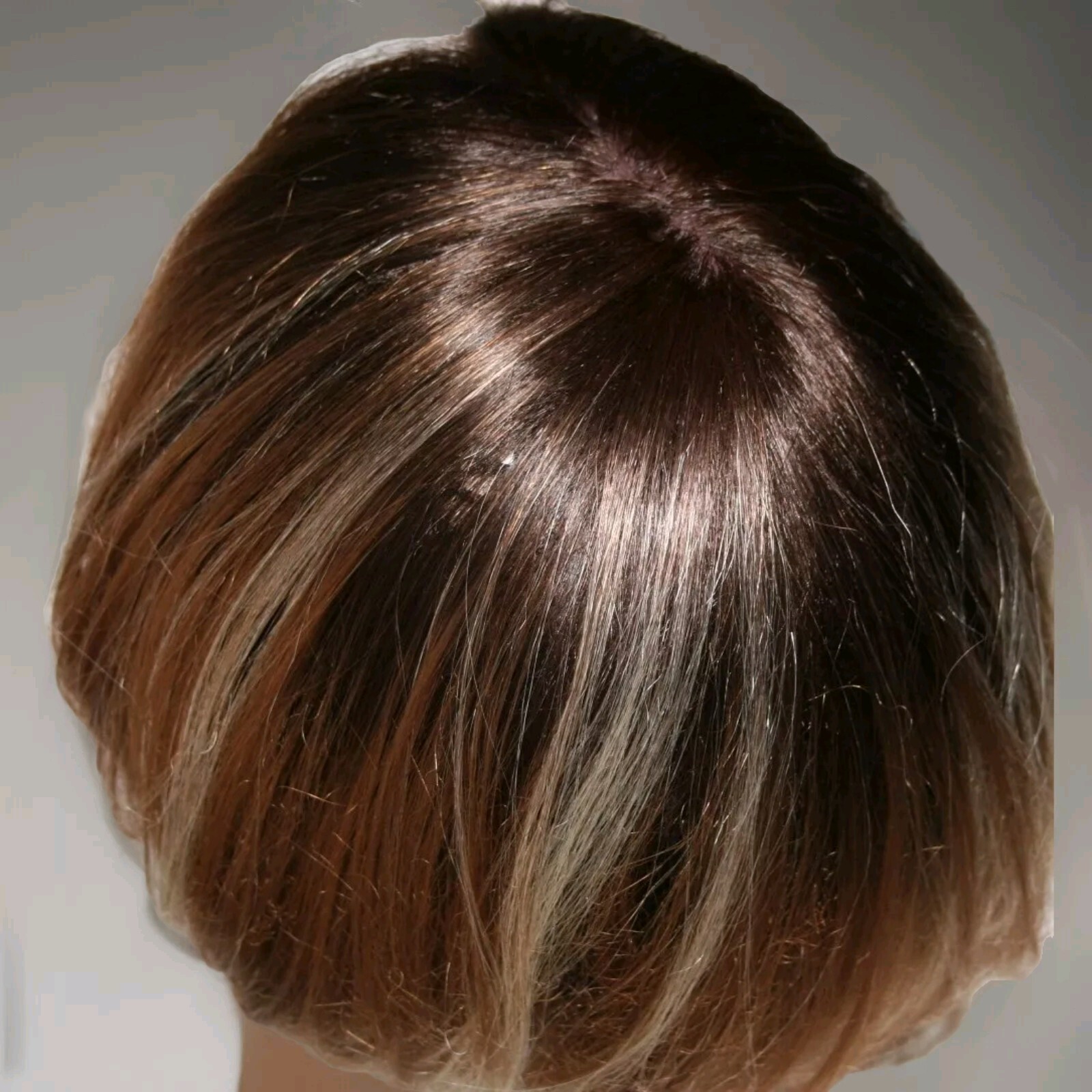 EURO JAPANESE FIBER FULL WIG HAIR STRAIGHT BLONDE FROSTED AUBURN BROWN AVERAGE