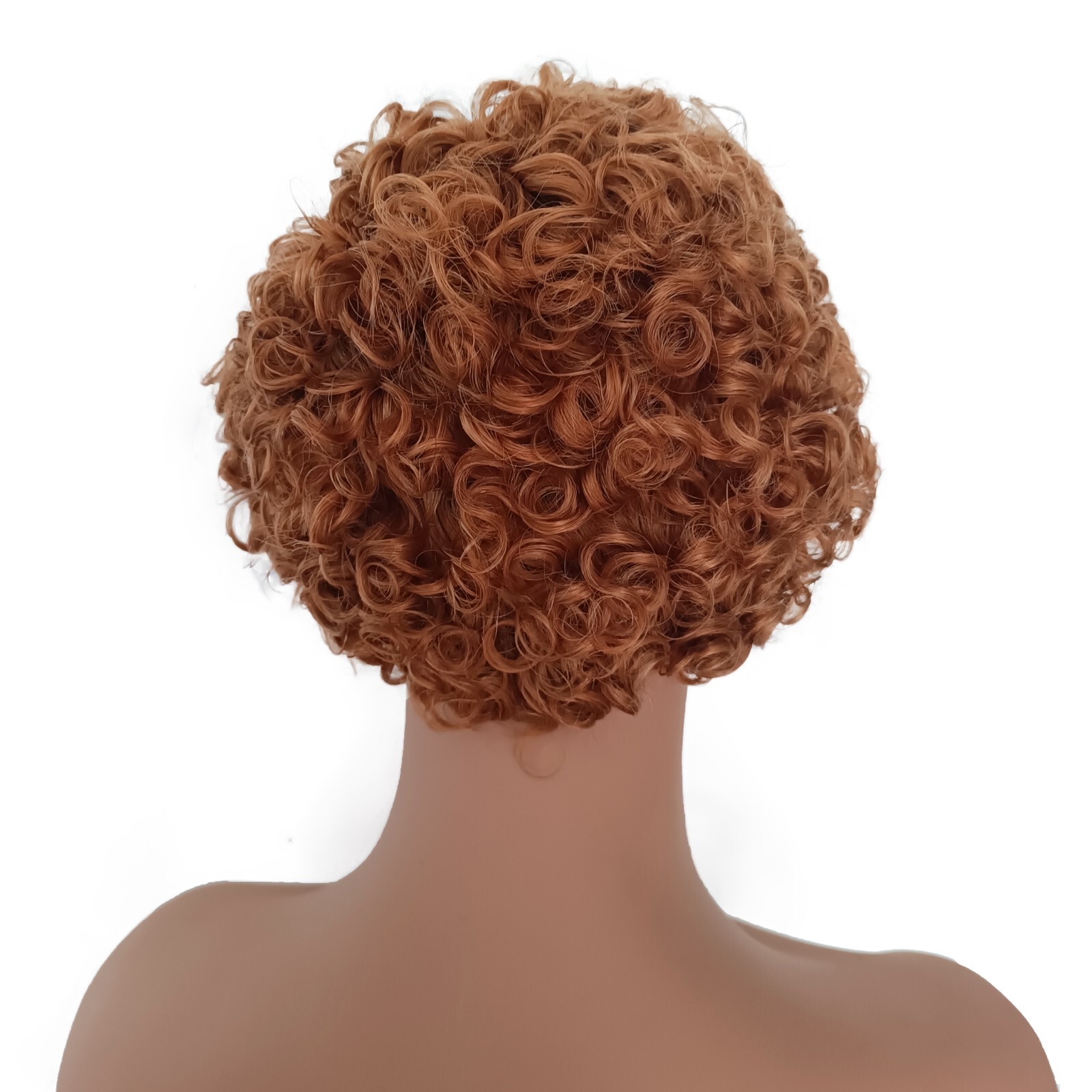Short 6″ Curly Human Hair Lace Front Wig for Women 13×1 Lace Human Hair Afro Wig