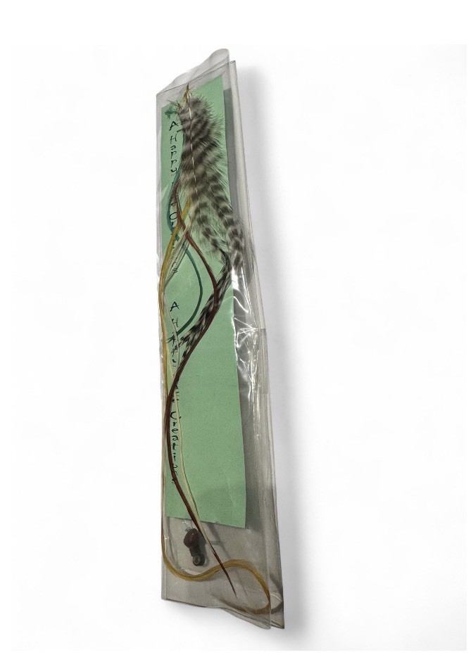Handcrafted Feather Extension Kit