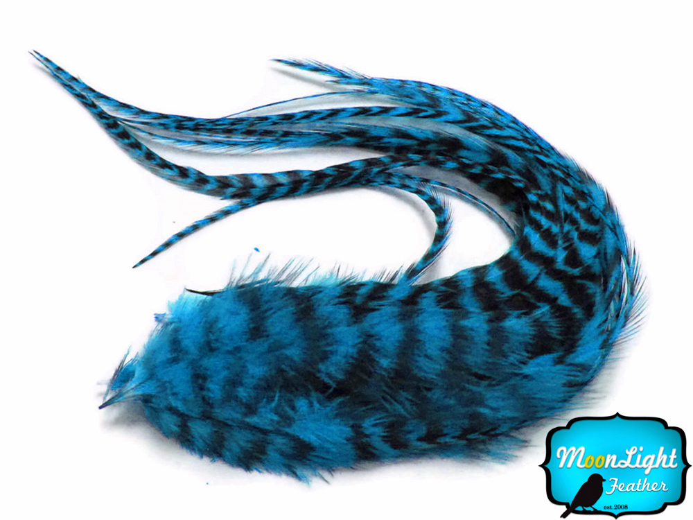 6 Pieces – TURQUOISE BLUE Thick Long Grizzly Rooster Hair Feathers