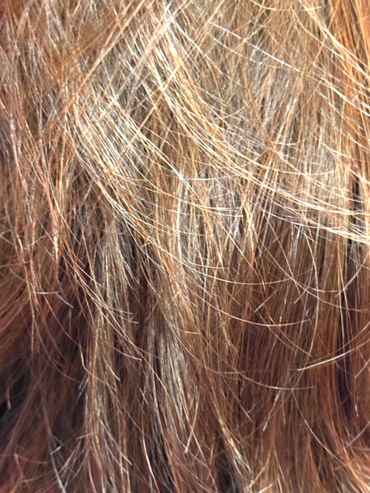 Godiva’s Secret Wigs “Monroe Wig” Chestnut