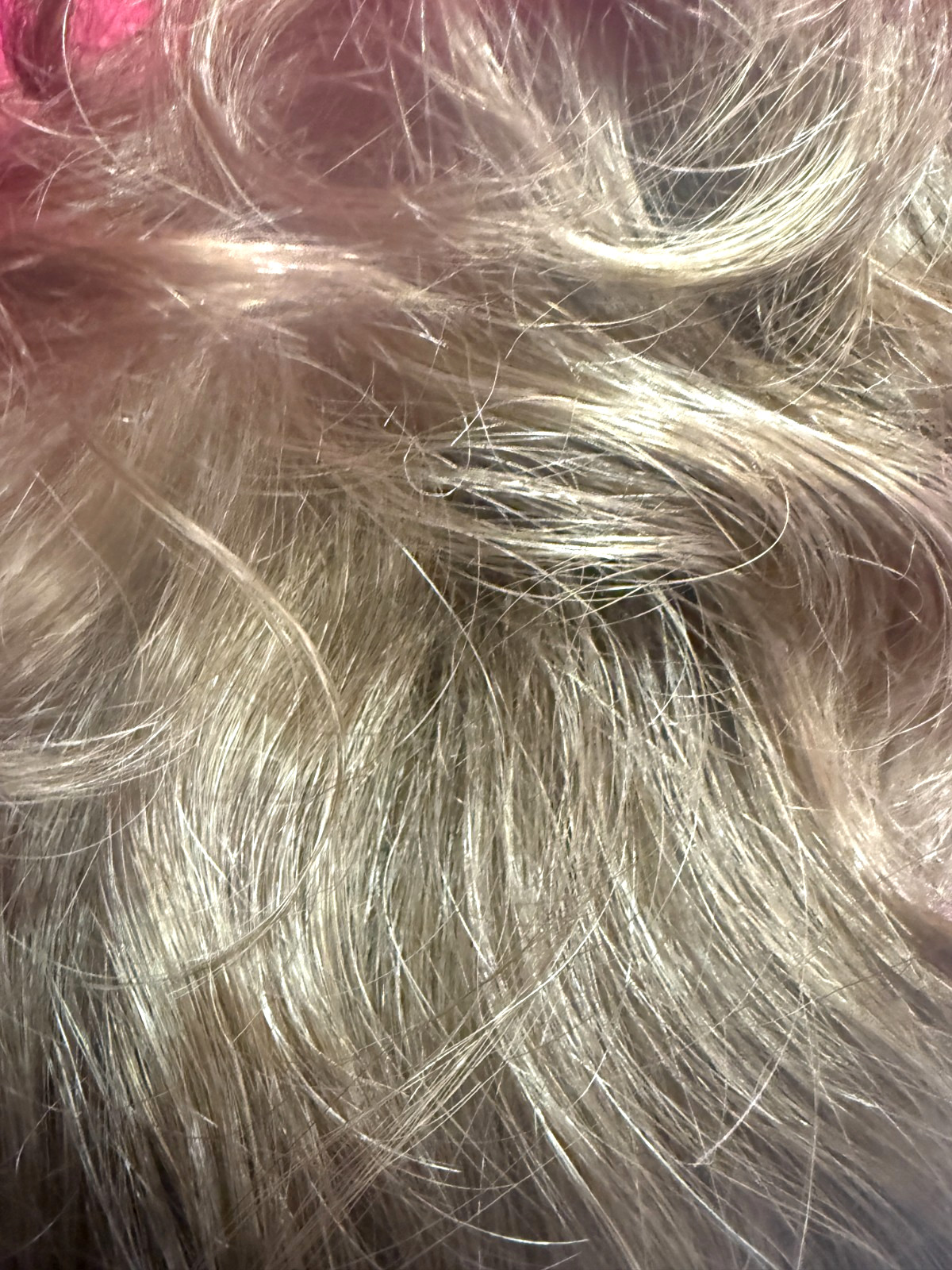 Godiva’s Secret Wigs “Farrah Wig” Honey Wheat TRIMMED SEE PHOTOS