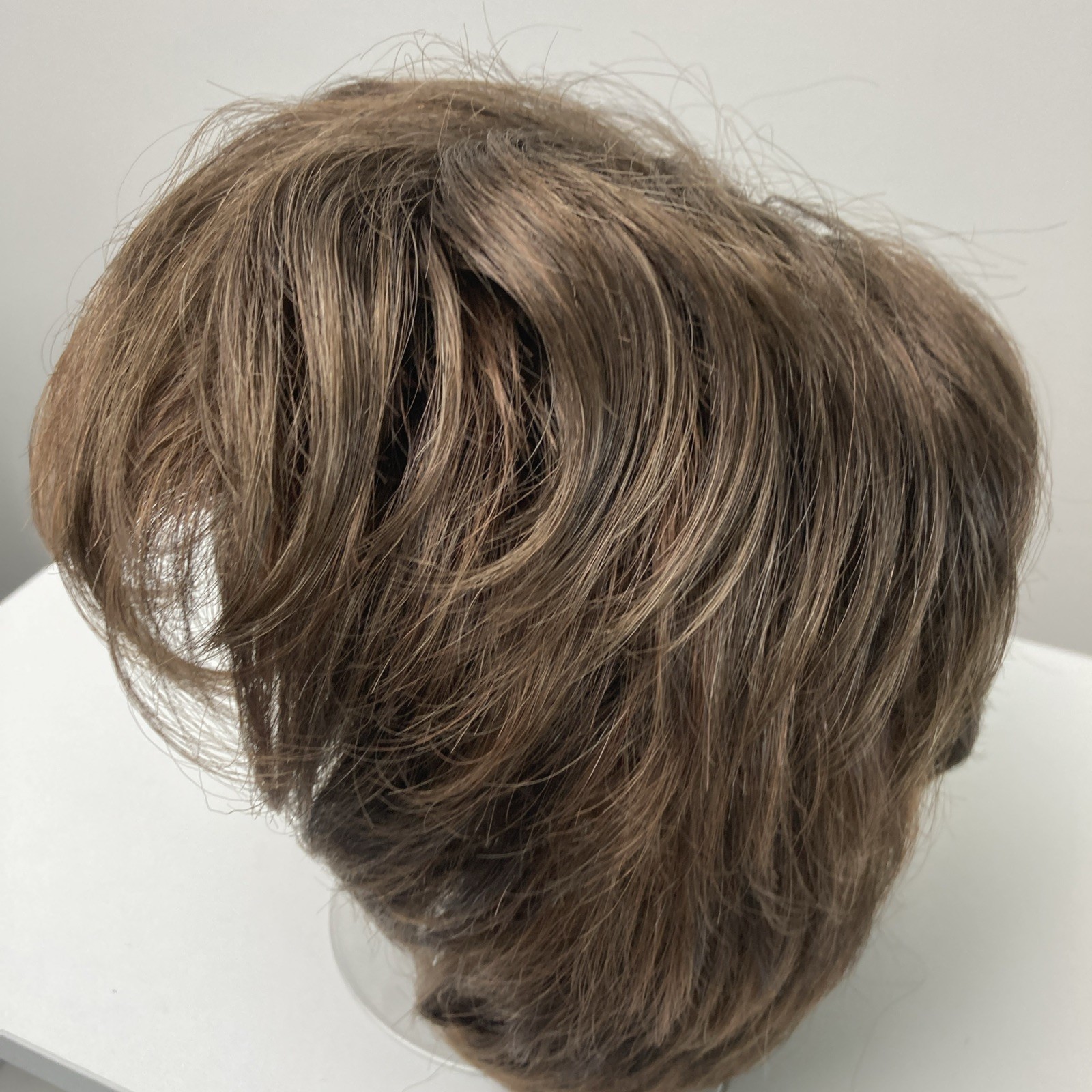 Envy Layered Wig Synthetic Short Classic Cap Womens Brown + Topper Lot 2 Pc