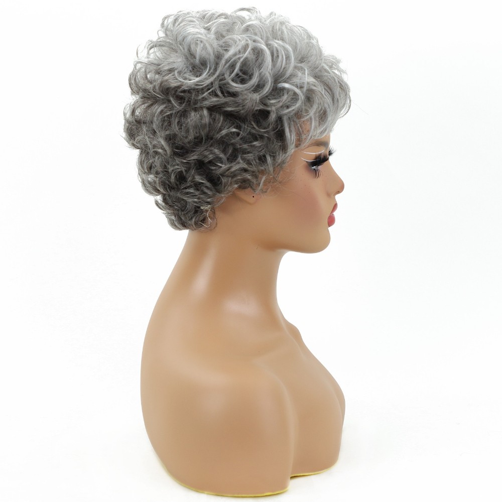 Women’s Short Curly Silver Gray Wig Heat Resistant Synthetic Full Daily Wear
