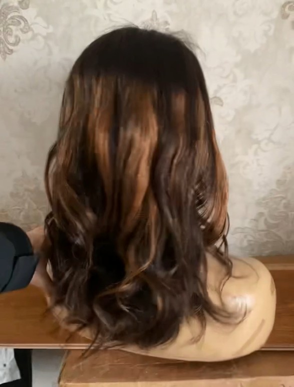 Highlight Black Brown 13×4 Lace Front Human Hair Wig for Women Daily