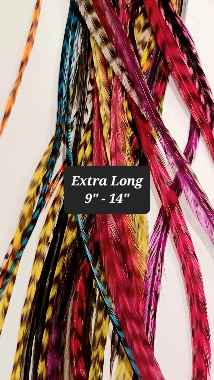 10 Whiting Grizzly Rooster Saddle Hackle Feathers Feather Hair Extensions 9-12″
