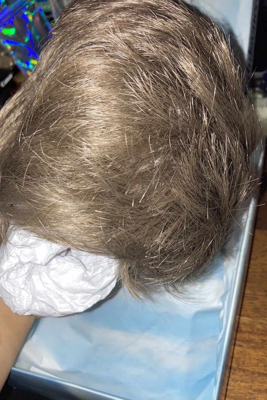 Sheer Indulgence FRESH Wig By Raquel Welch SAND BLONDE