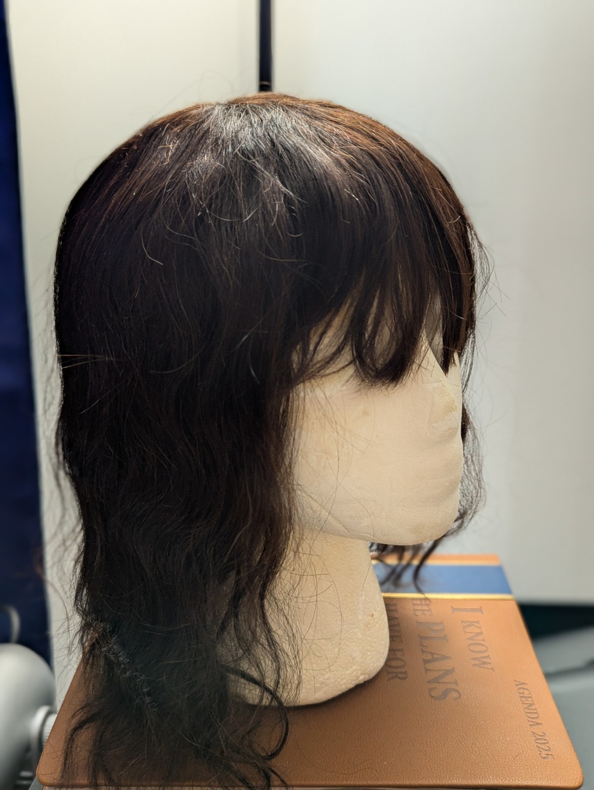 Curly Short Wig For Women, Human Hair Wig, Black Brazilian Virgin Human Hair