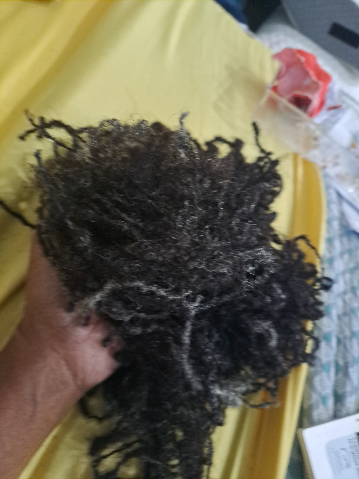 Locs !! I Just Cut My Hair Locs (Locks) 100% Human(mine)