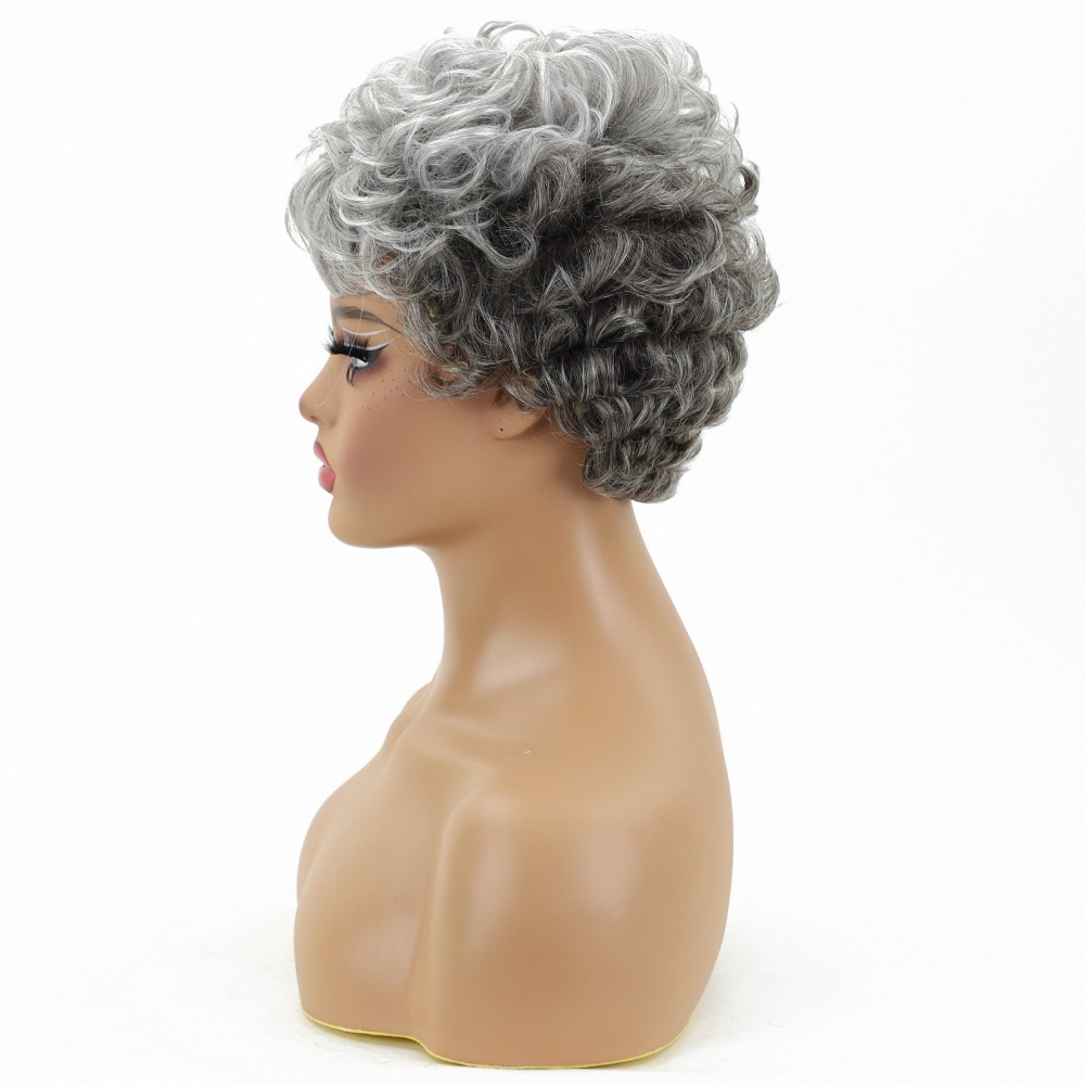 Women’s Short Curly Silver Gray Wig Heat Resistant Synthetic Full Daily Wear