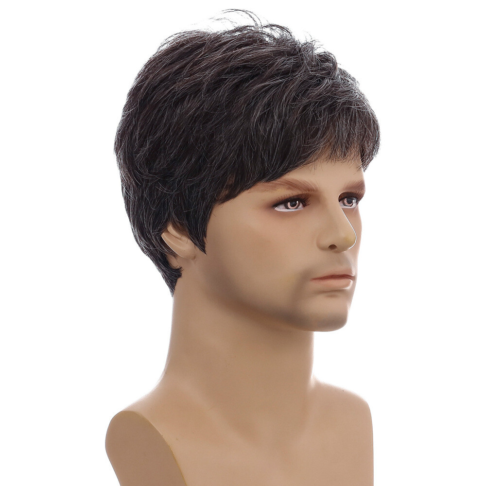 Men Short Black Brown Hair Synthetic Daily Natural Cosplay Wigs Party Costume US