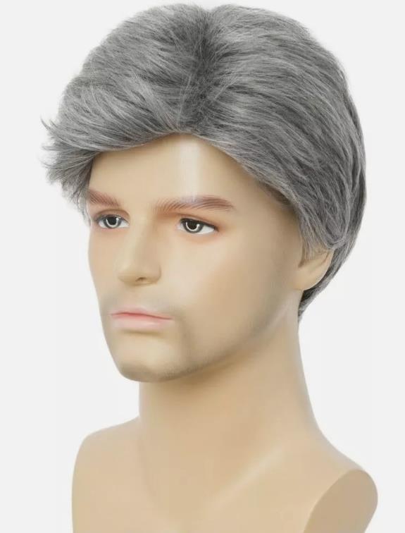 Men’s Grey Short Wig Heat Resistant Natural Male Cosplay Daily Hair Wigs