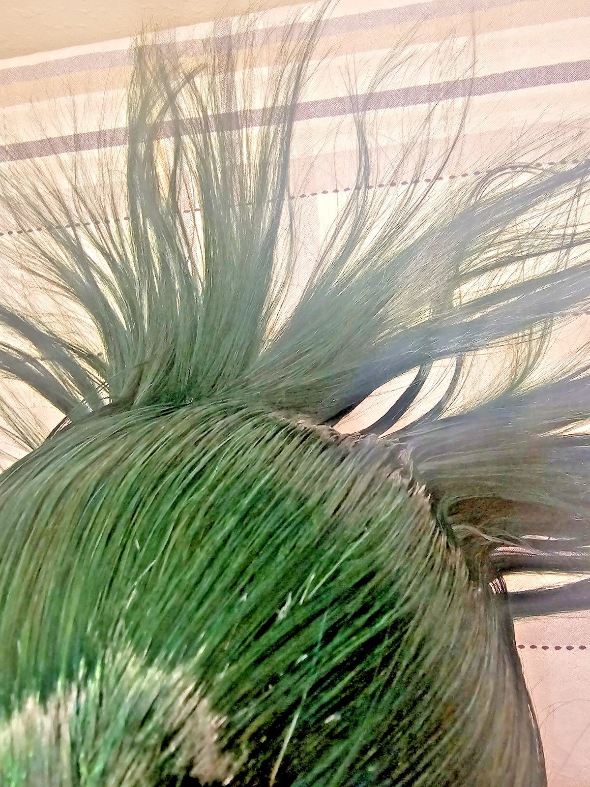 Bob Indonesia 100%Human Hair Wig With Full Machine made