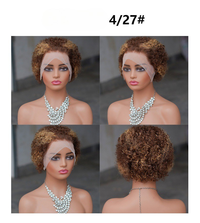 13×4 Lace Front Human Hair Short Curly Pixie Cut Wig For Black Women 200nsity