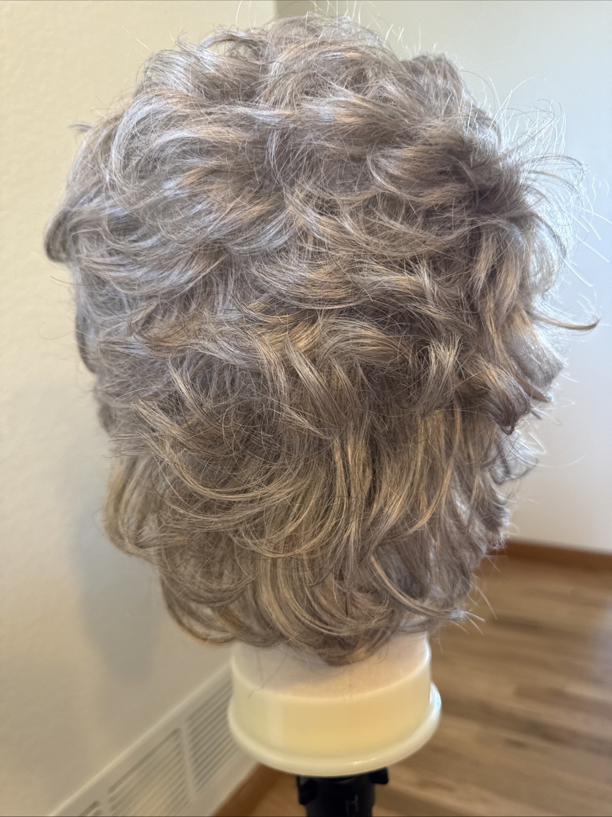 480Curly Long Net Cap Gray Tipped Big Hair. Very Nice Paula Young Jenna 14/18